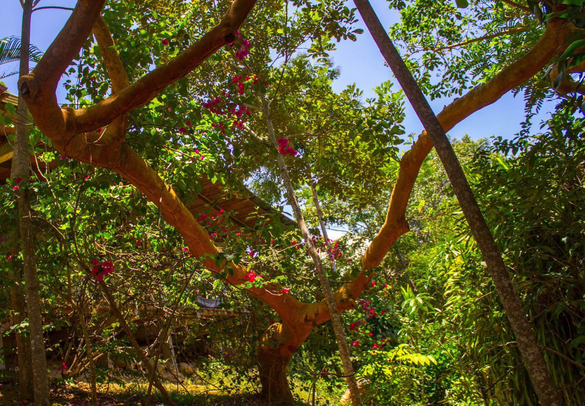 Yacumaman Sanctuary Βίλα Tarapoto Εξωτερικό φωτογραφία