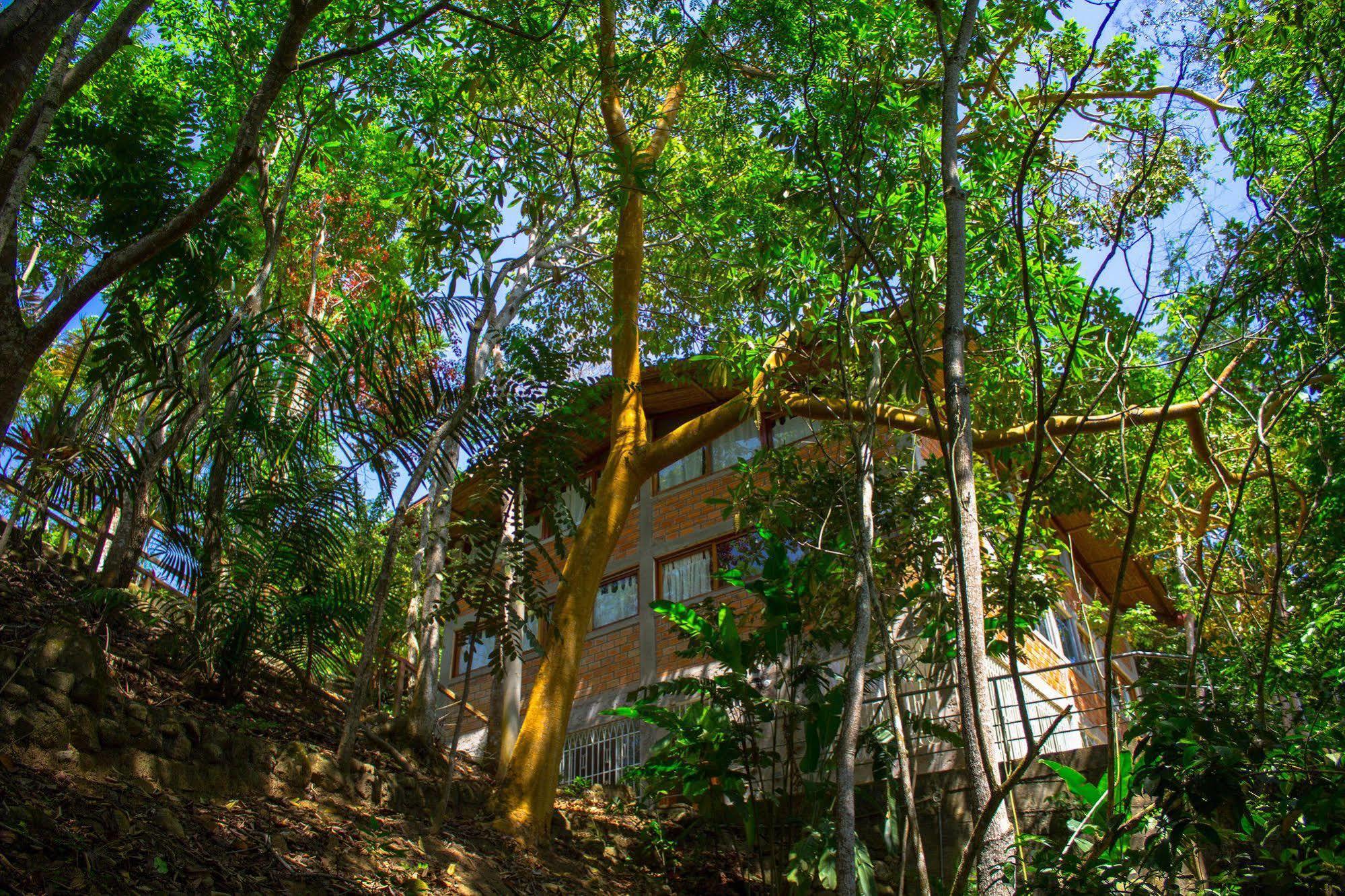 Yacumaman Sanctuary Βίλα Tarapoto Εξωτερικό φωτογραφία